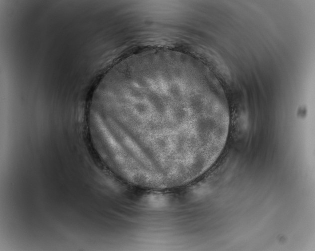 X0000102520416200808221846