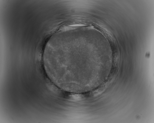 X0000102520417200808221846