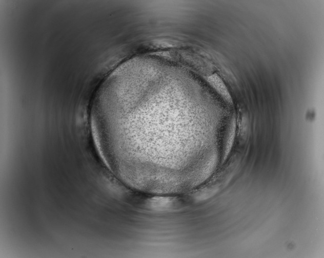 X0000102520418200808221846