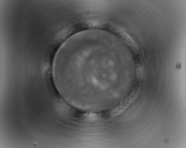 X0000102520419200808221846