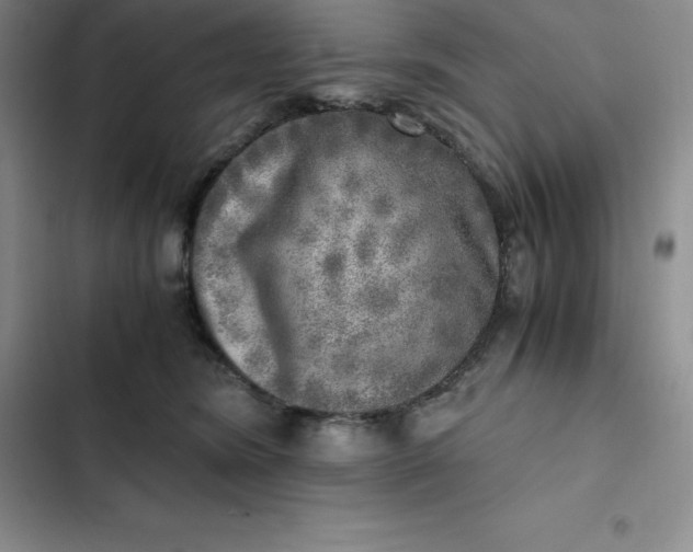 X0000102520420200808221846