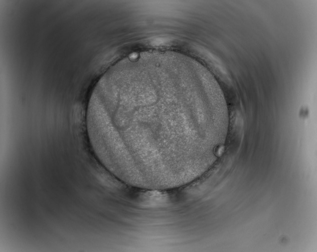 X0000102520421200808221846