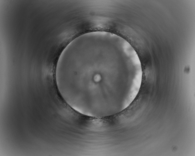 X0000102520423200808221846