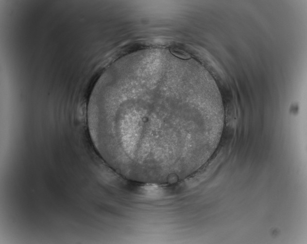 X0000102520425200808221846