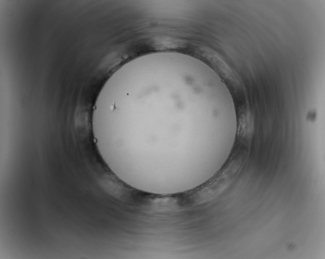 X0000102520426200808221845