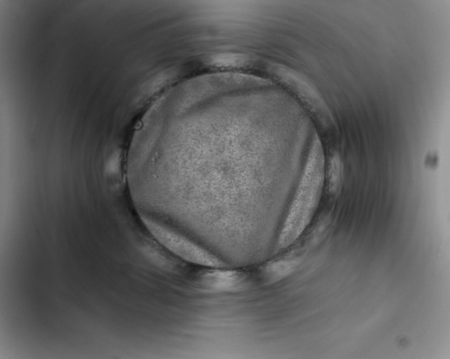 X0000102520428200808221845