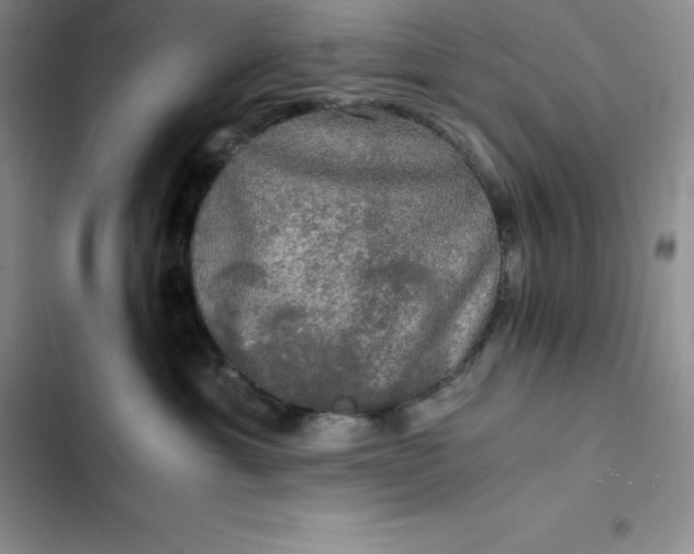 X0000102520429200808221845