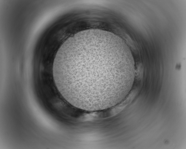 X0000102520430200808221845