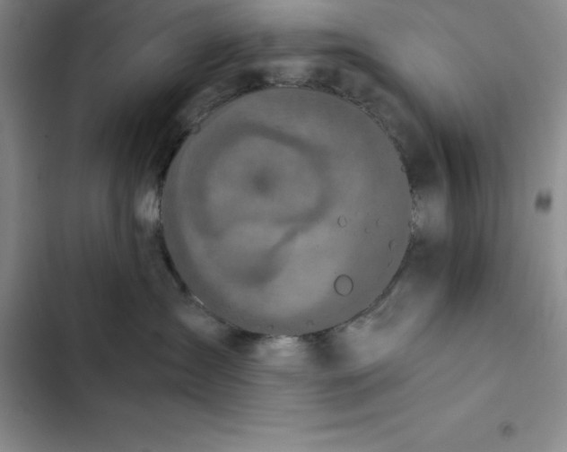 X0000102520431200808221845