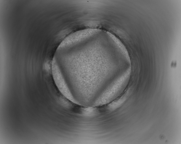 X0000102520432200808221845