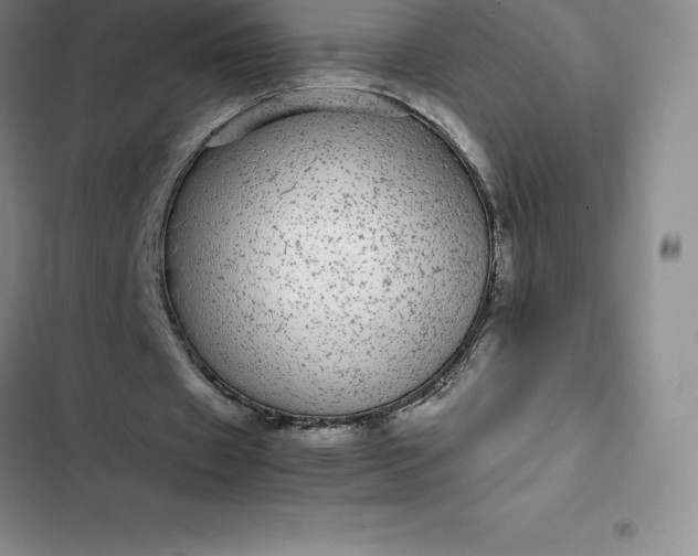 X0000102520433200808221845