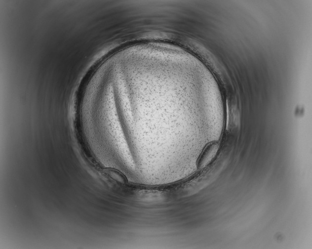 X0000102520435200808221845