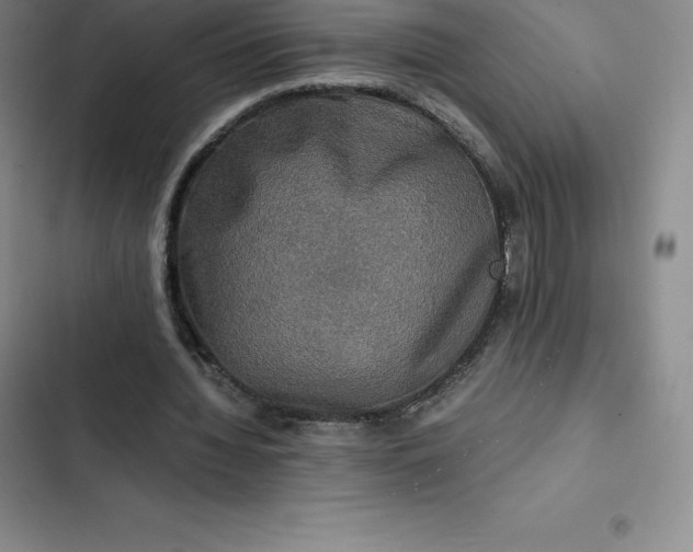 X0000102520436200808221845