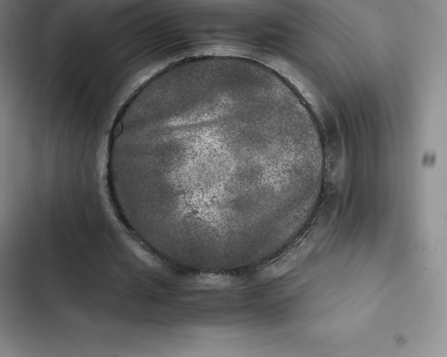 X0000102520437200808221845