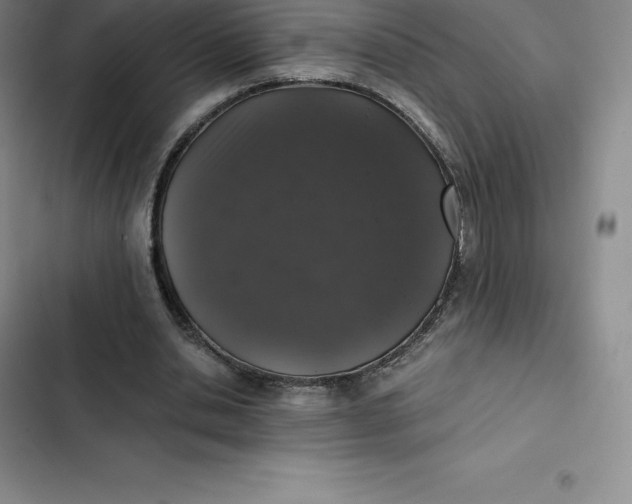 X0000102520438200808221845