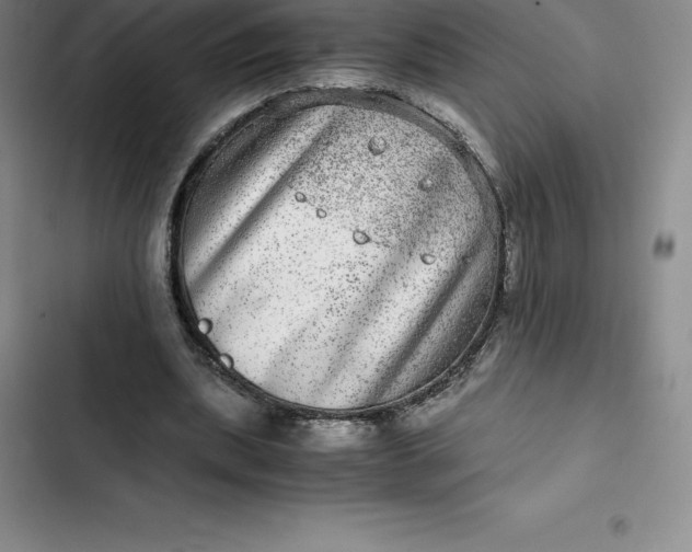 X0000102520439200808221845