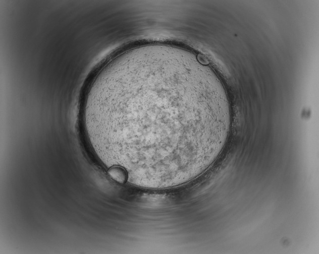 X0000102520440200808221845