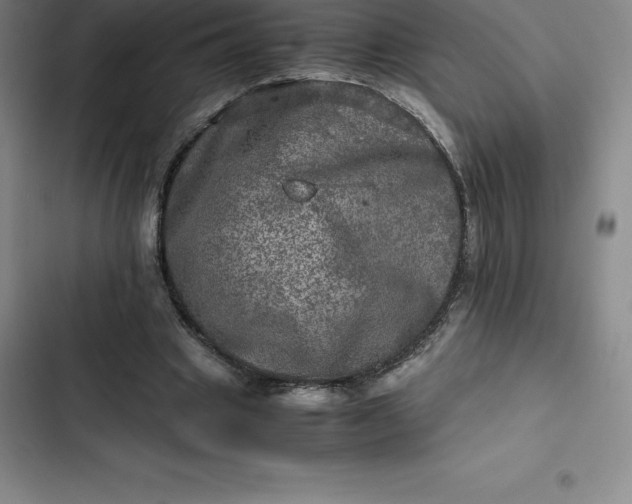 X0000102520441200808221845