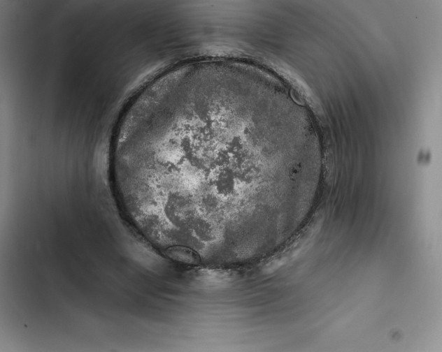 X0000102520442200808221845