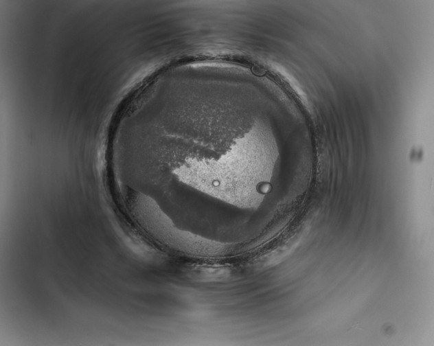 X0000102520443200808221845