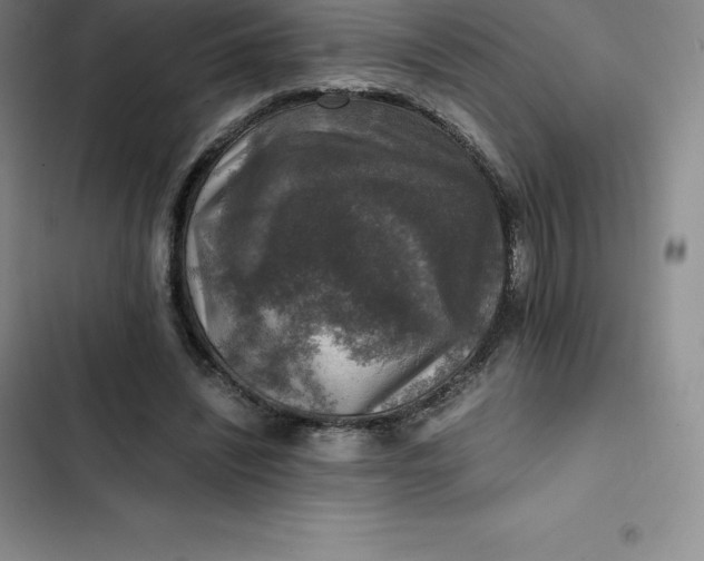 X0000102520444200808221845