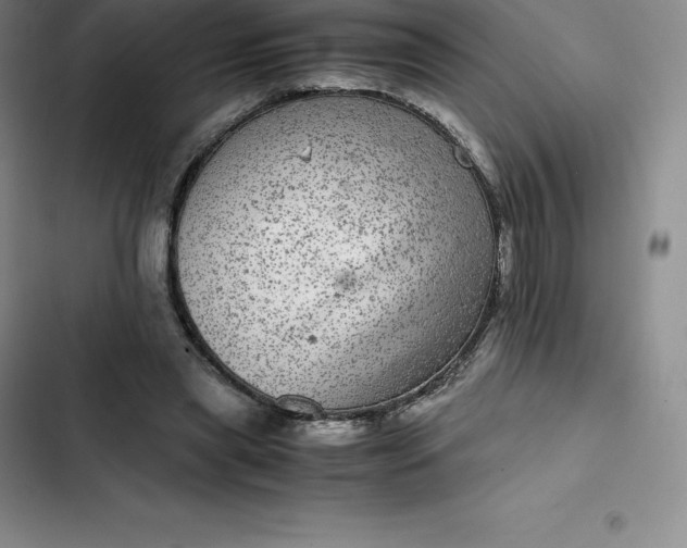 X0000102520445200808221845