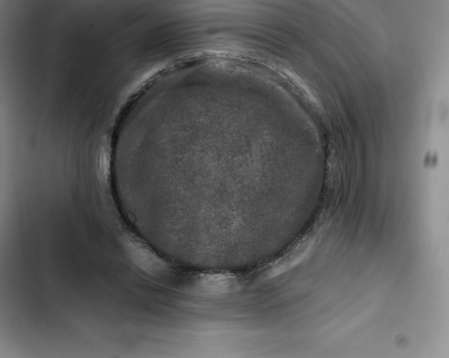 X0000102520446200808221845