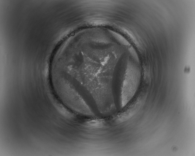 X0000102520447200808221845