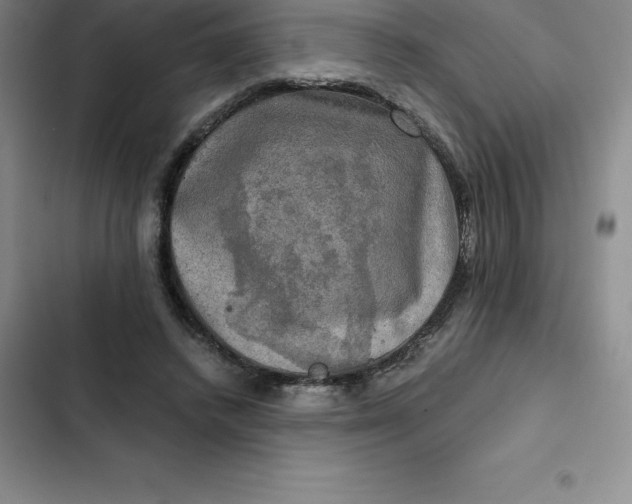 X0000102520448200808221845