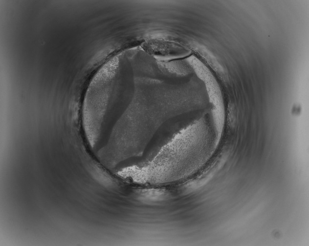 X0000102520449200808221845