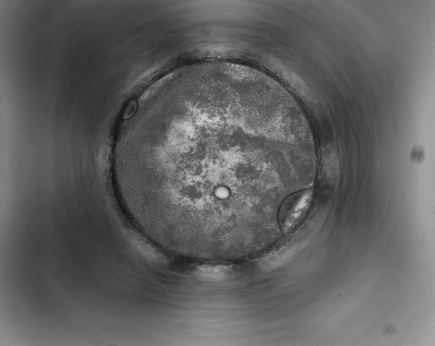 X0000102520450200808221845