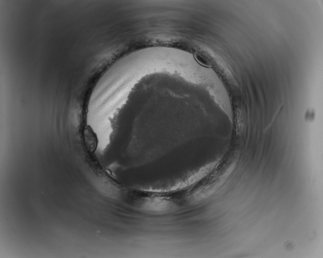 X0000102520451200808221845