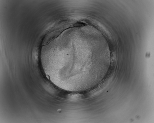 X0000102520452200808221845