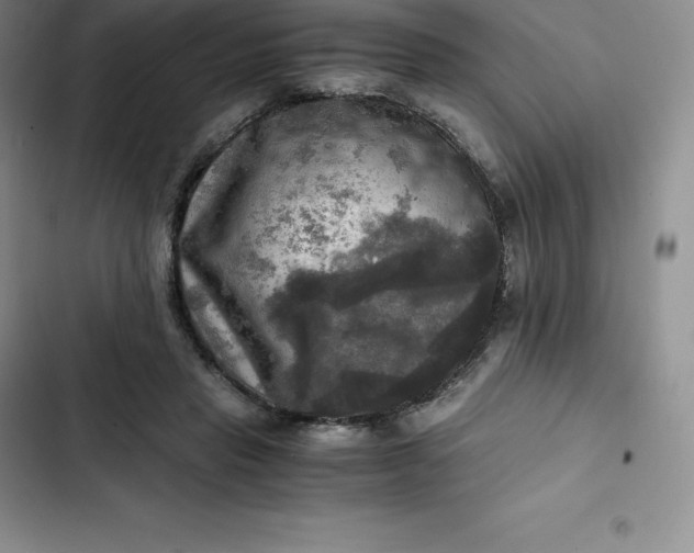 X0000102520453200808221845