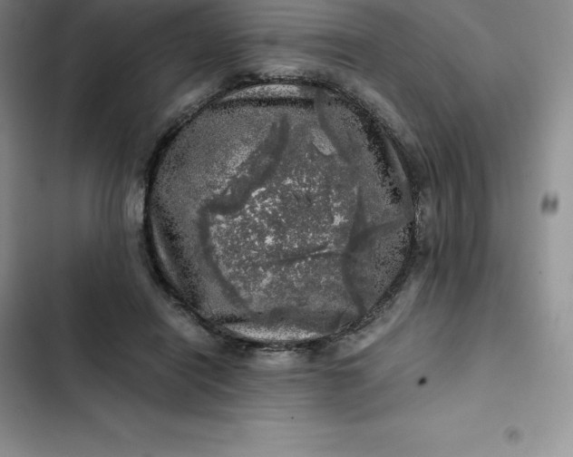 X0000102520454200808221845