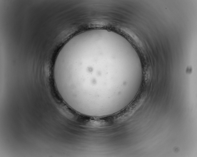 X0000102520455200808221845