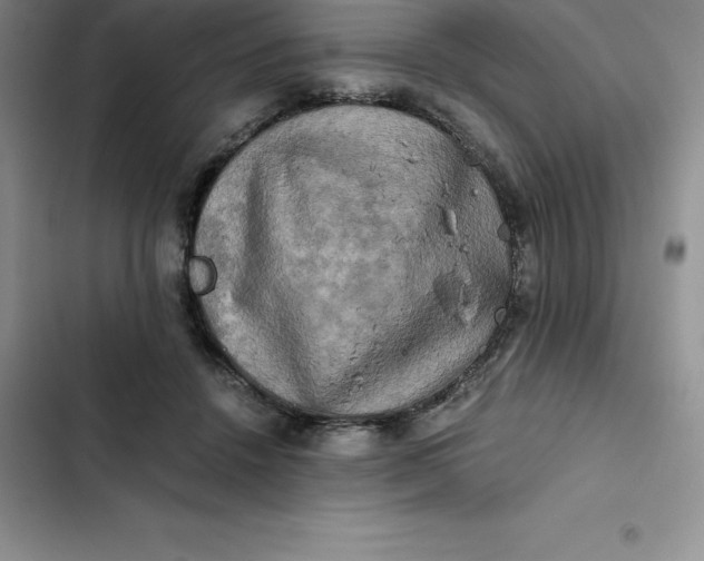 X0000102520456200808221845