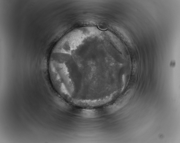 X0000102520457200808221845