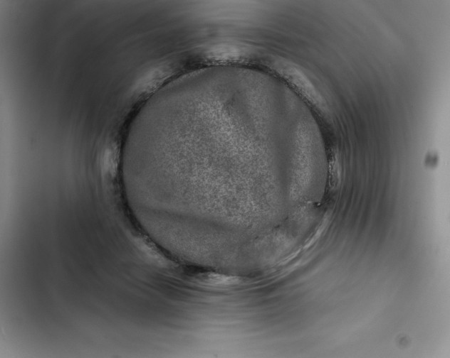 X0000102520458200808221845