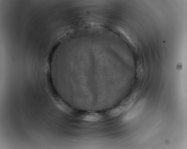 X0000102520459200808221845