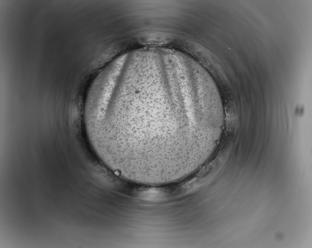 X0000102520460200808221845