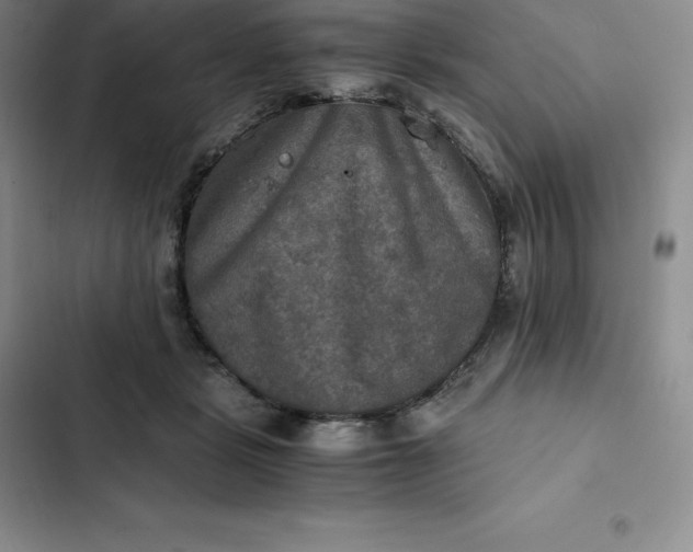 X0000102520461200808221845