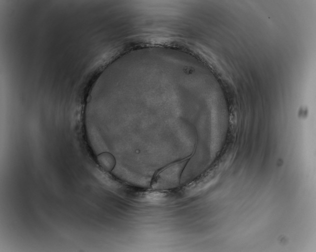 X0000102520462200808221845