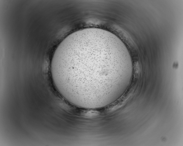 X0000102520463200808221845