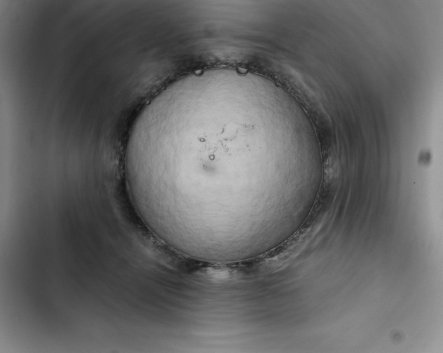 X0000102520464200808221845