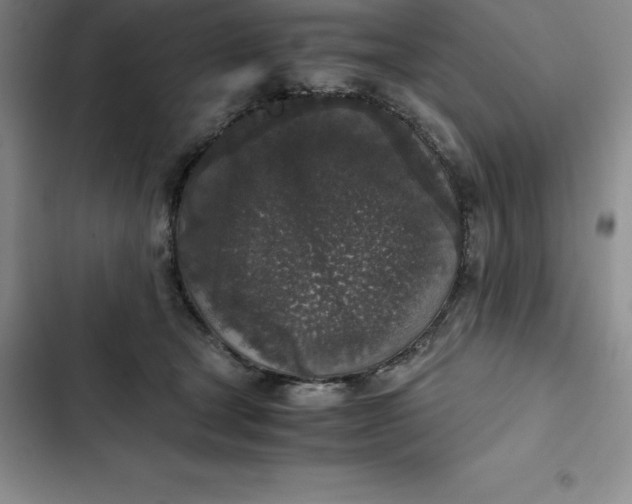 X0000102520465200808221845