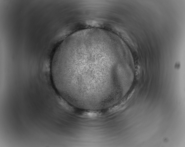 X0000102520466200808221845