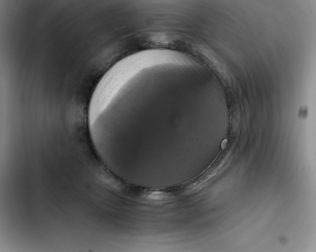 X0000102520467200808221845