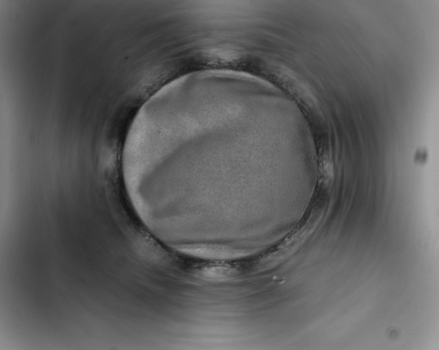 X0000102520468200808221845