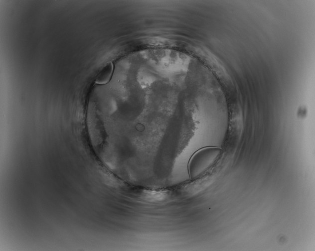 X0000102520469200808221845